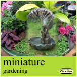 miniature gardening