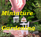 Miniature Gardening